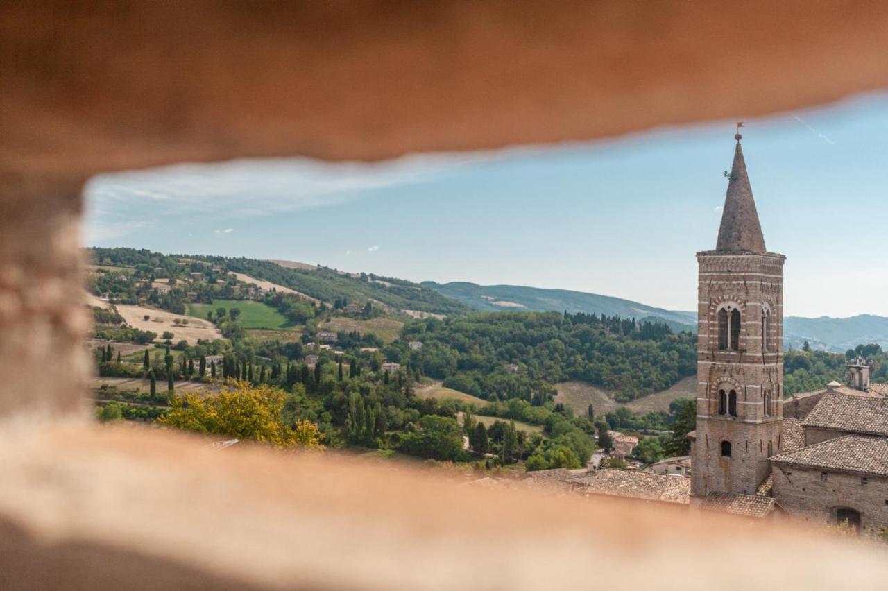 Il Cielo Di Raffaello 2